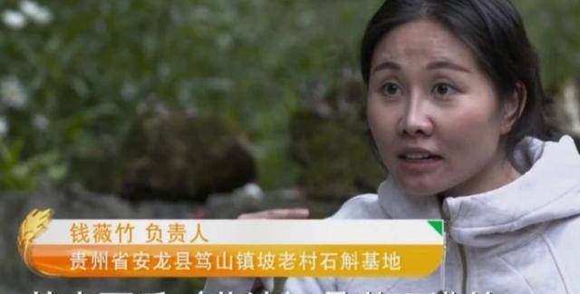 3年前,那个宁可放弃银行工作,也要回乡种地的女孩,如今怎样?