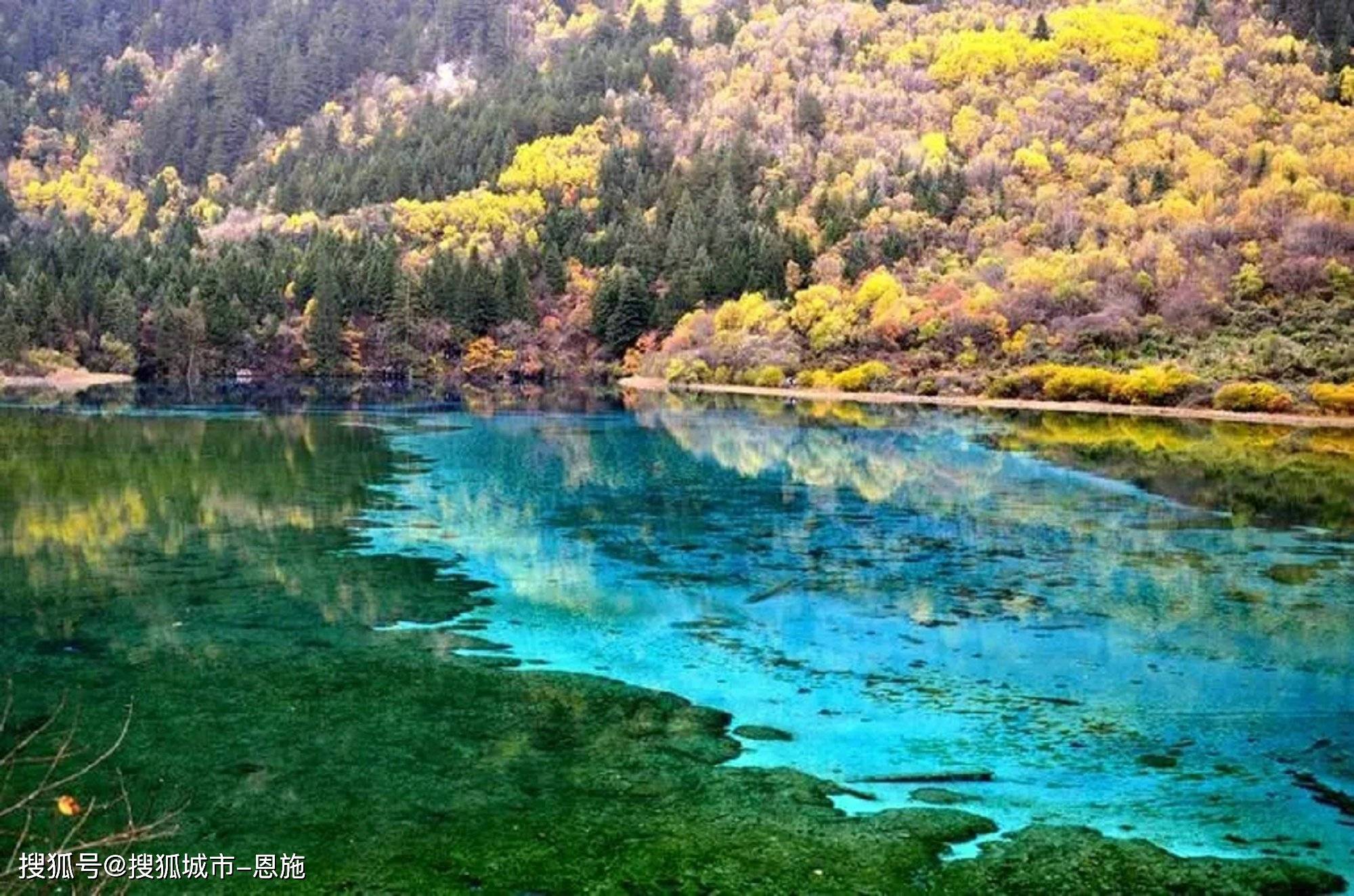 四川九寨沟旅游