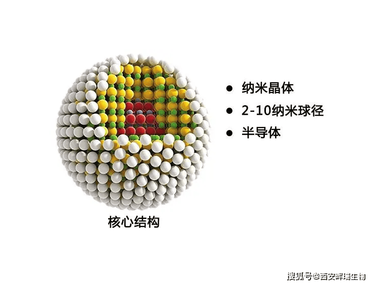 壳聚糖修饰电极图片