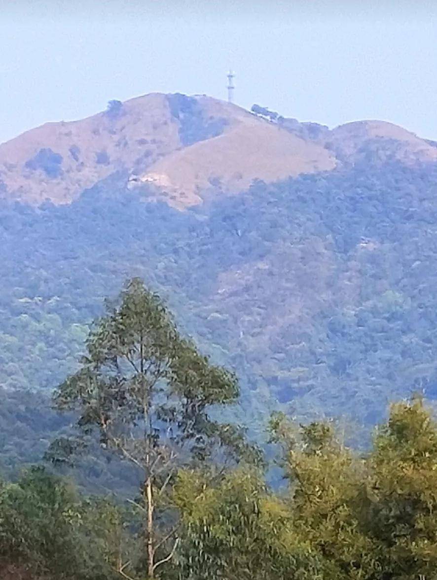 千年出雾 万年出官 国师点寻闻名两广的庞孝泰墓_博白_朝山_云飞彰