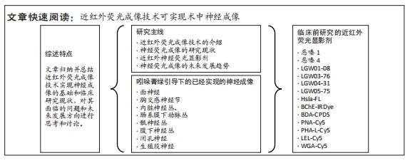 近红外荧光成像技术实现术中神经成像:应用现状与未来发展