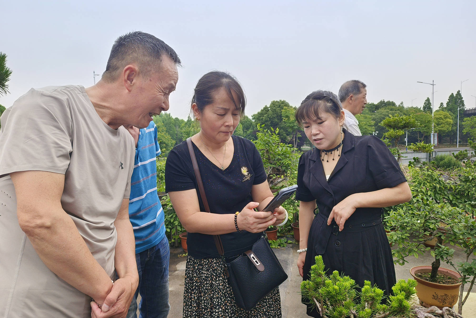 在新河小区的东北角一片香樟树林掩映下的宜景苑,绿意盎然,葱翠宜人