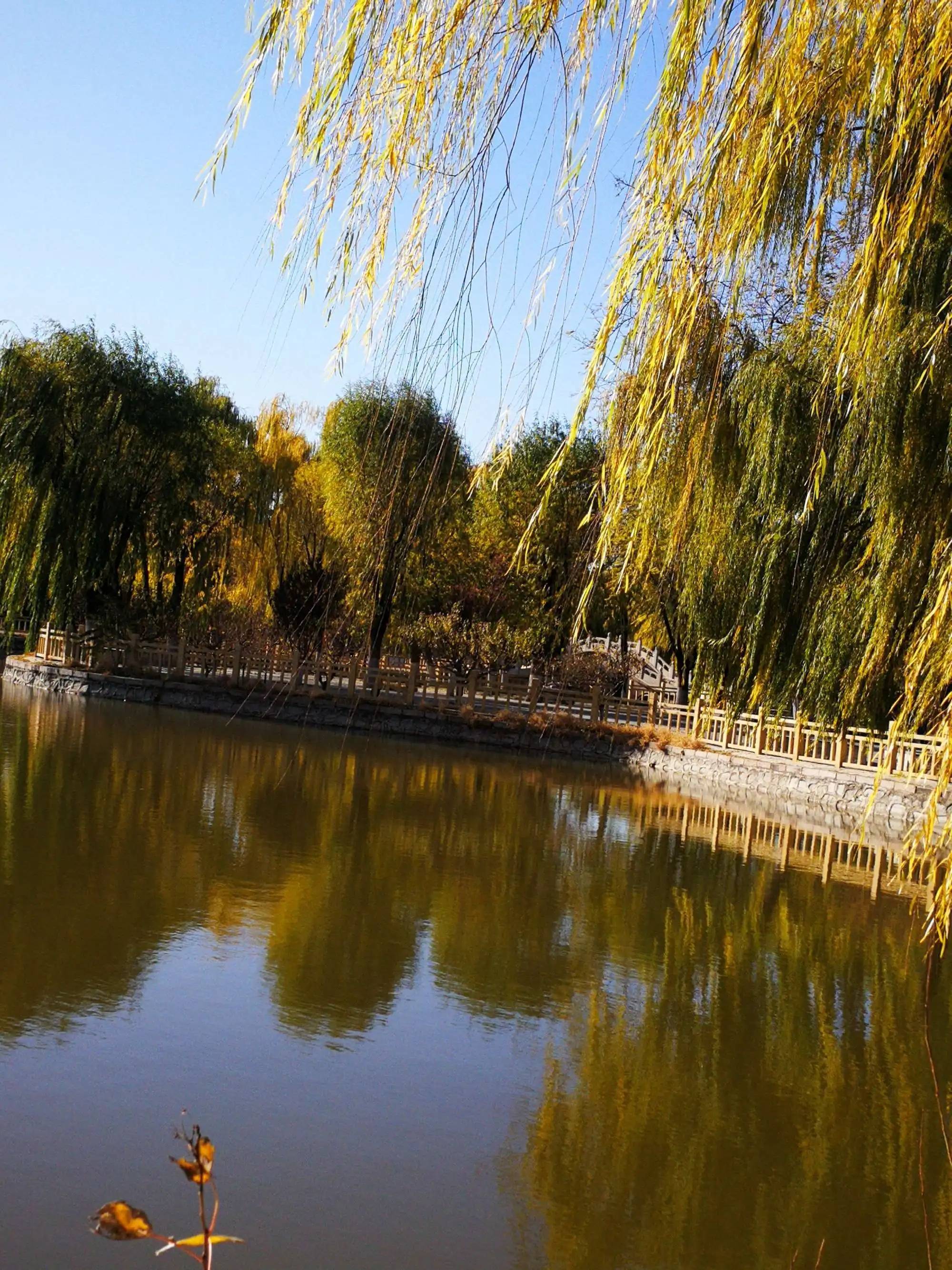 公园晨练:阳光下的青春风景