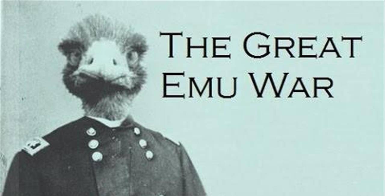 澳大利亚的奇葩战争,人类发兵攻打鸸鹋,结果输得很惨_政府_梅雷_迪恩