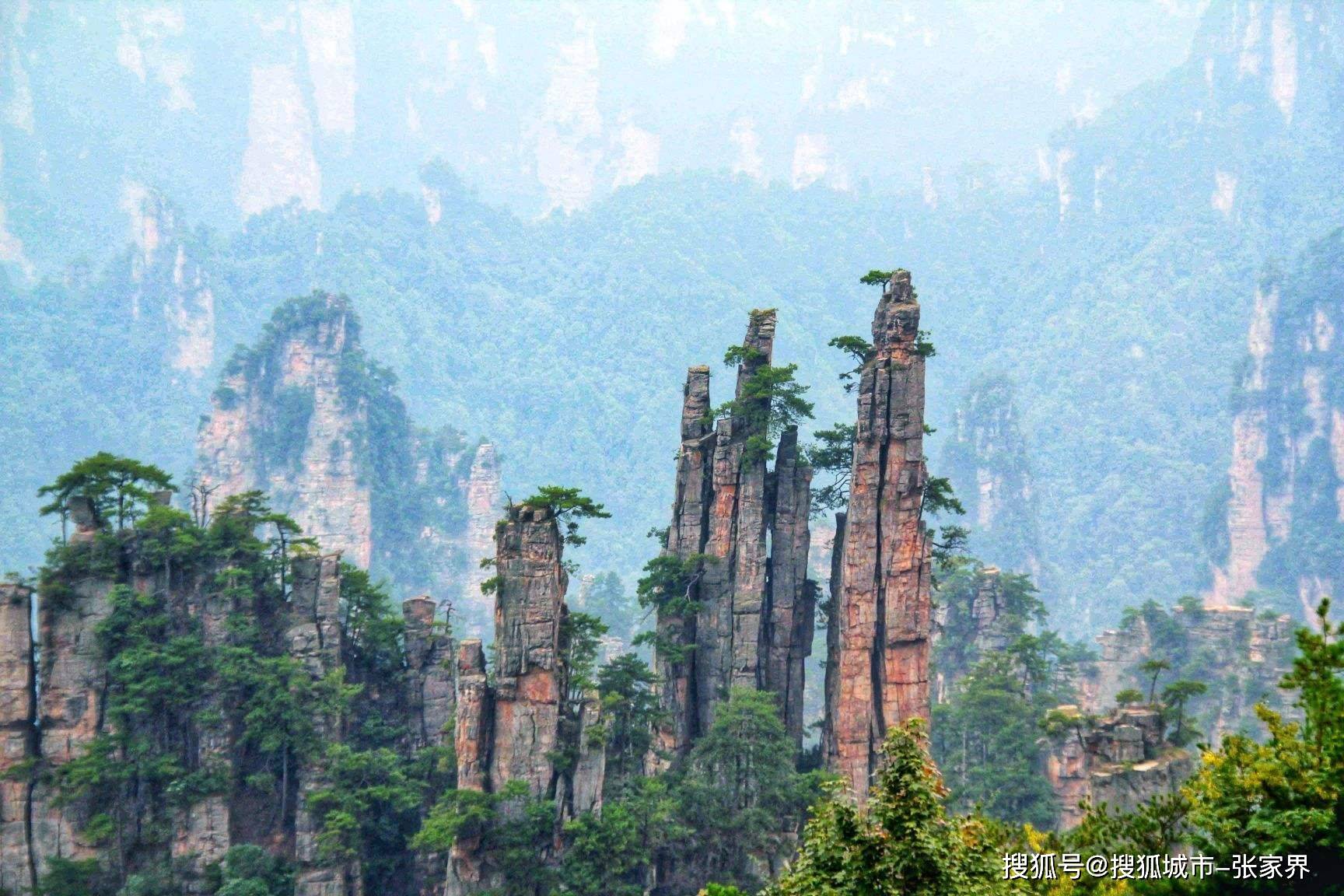 天门山森林公园图片图片