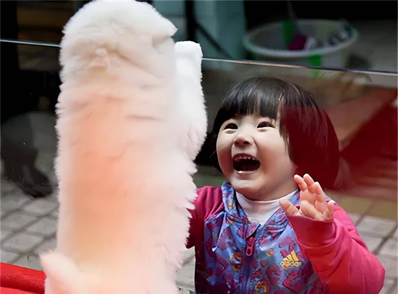 2013年,2岁女孩只剩上半身,老婆离婚女儿残疾,单亲爸爸痛哭_何龙_琪琪