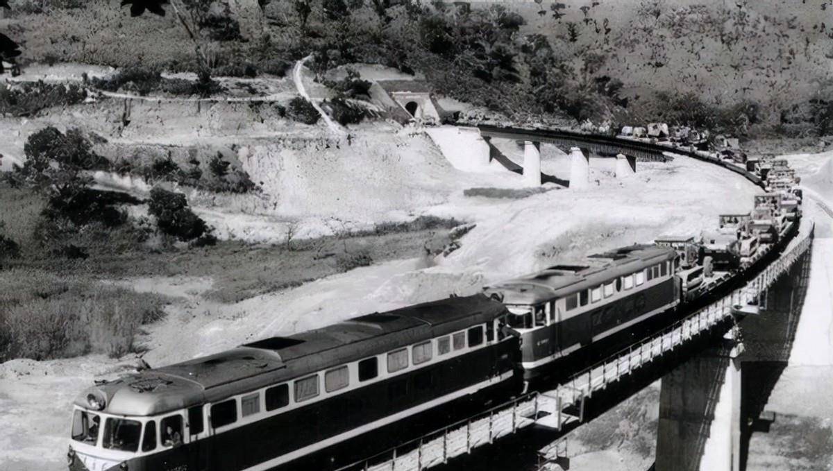 2019年中国大妈在非洲引众怒,被判15年,我国外交部回应:不袒护