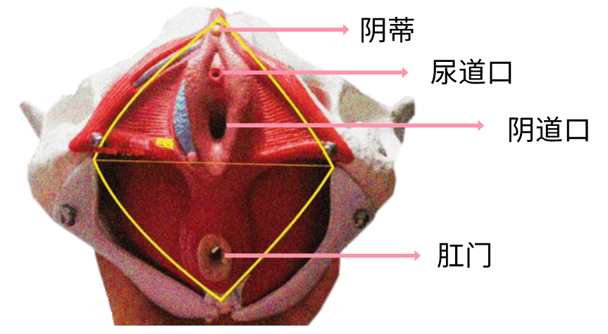 桥梁引道图片图片