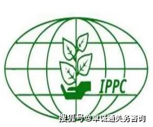 旧托盘能否进出口?