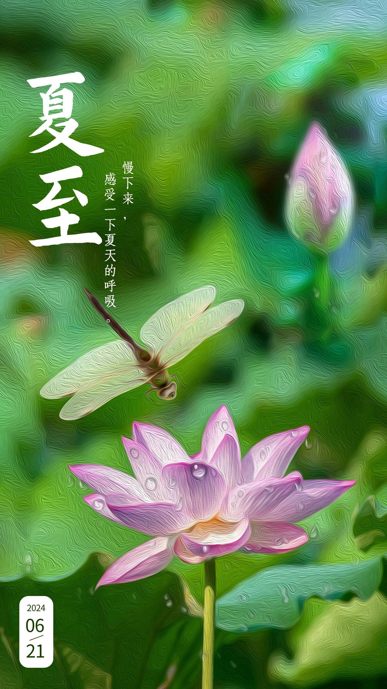 墨言教育丨六月借势海报——夏至