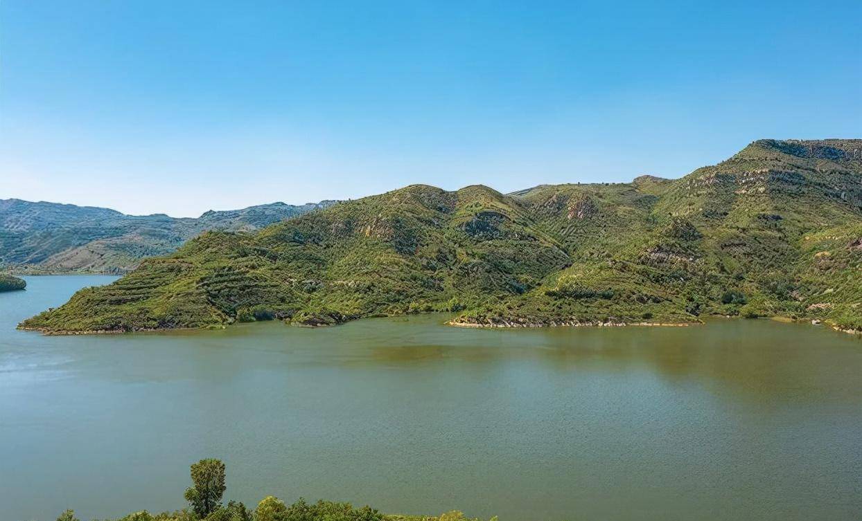 75年板桥水库溃坝事件,满地都是死麻雀,郑州成了大饼馒头的世界_河南