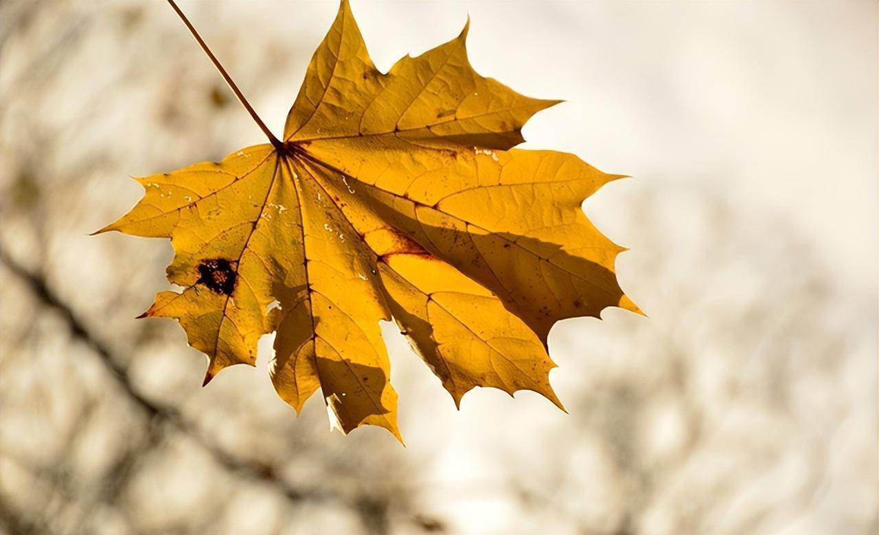 心眼的老实人,不想被人当傻子欺负,就牢牢记住四句话_小赵_小张_小陈