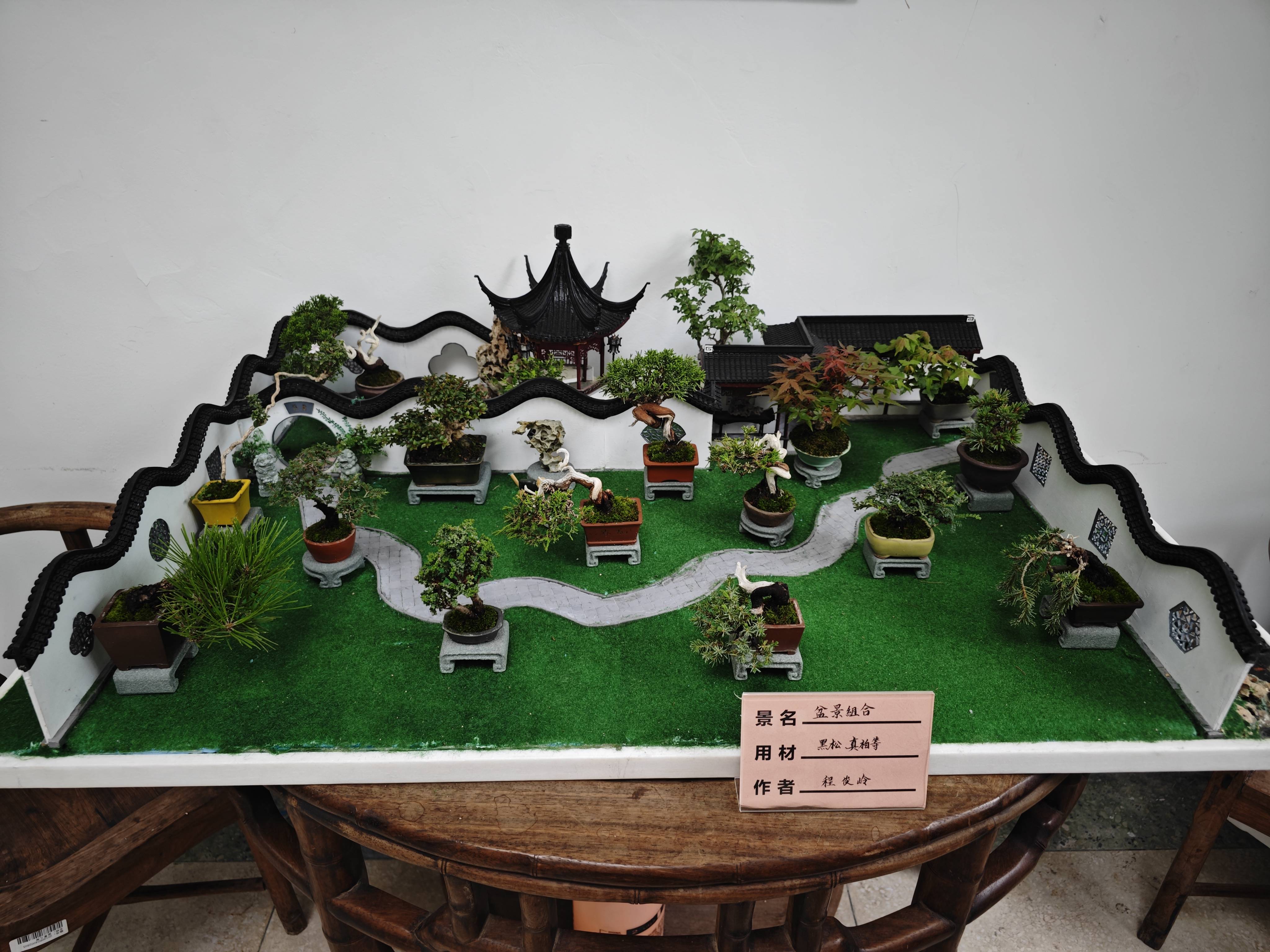 天津市花卉盆景协会《天津市盆景艺术精品展》在水上公园盆景园揭幕