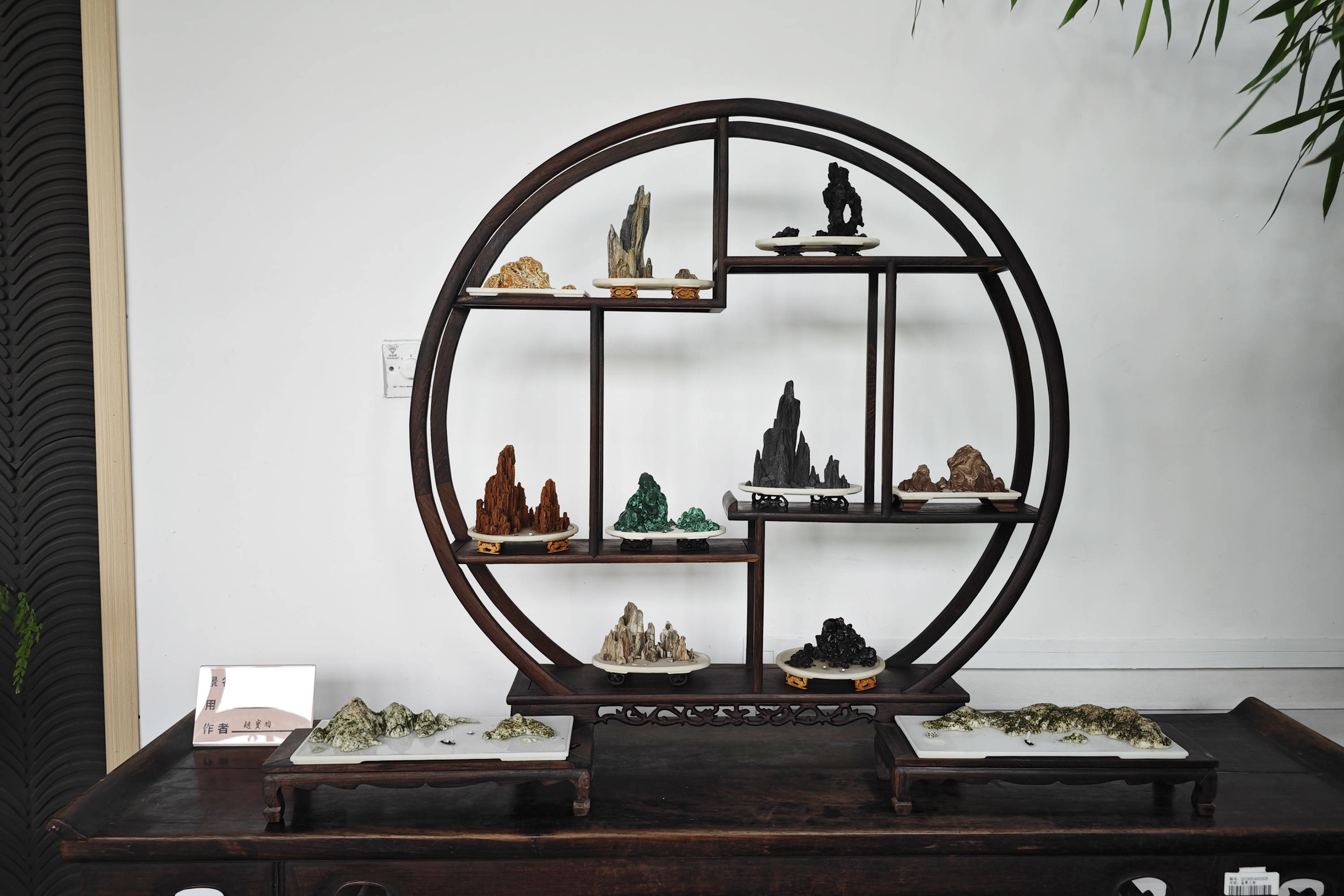 天津市花卉盆景协会《天津市盆景艺术精品展》在水上公园盆景园揭幕