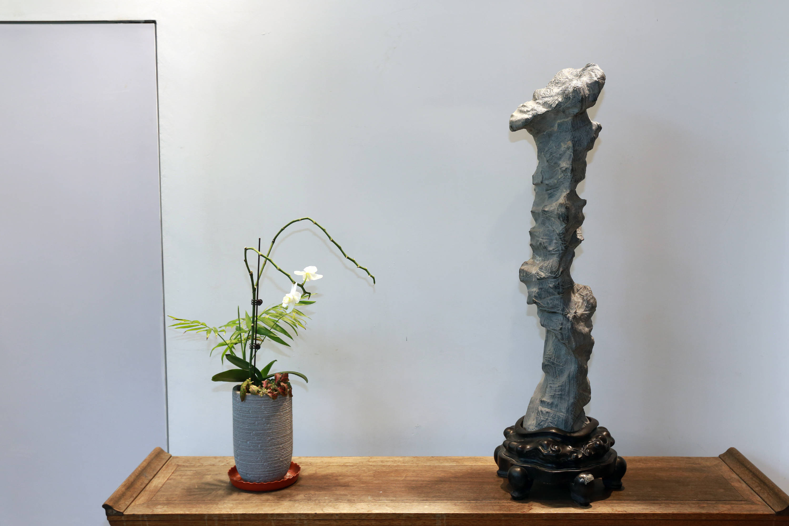 天津市花卉盆景协会《天津市盆景艺术精品展》在水上公园盆景园揭幕