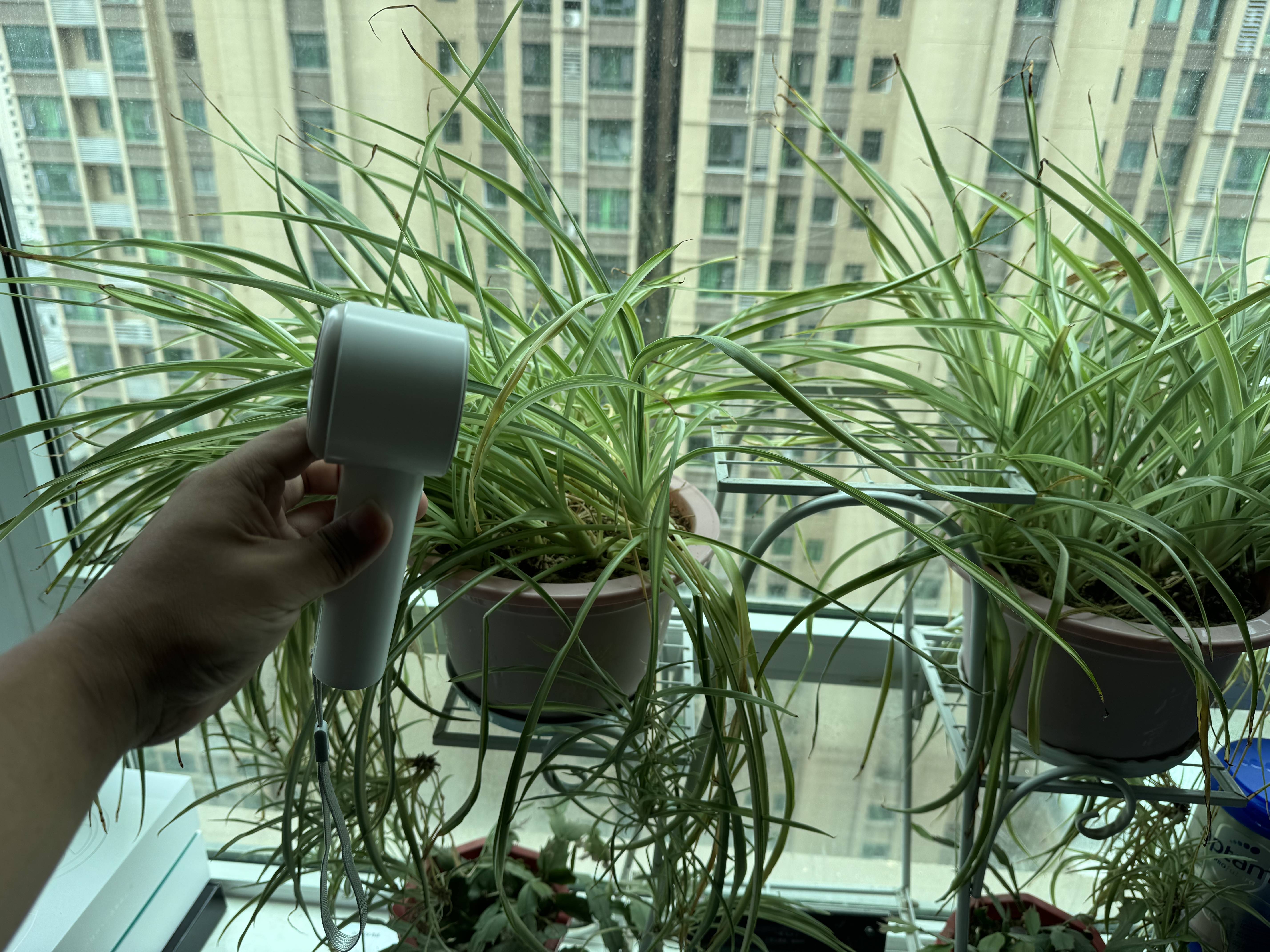 夏日必备神器:西圣Wind手持小风扇体验分享