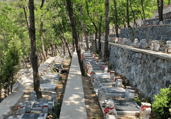 大连老麻沟墓地图片