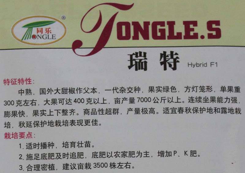 瑞特菜椒高产大果甜椒青椒辣椒种子