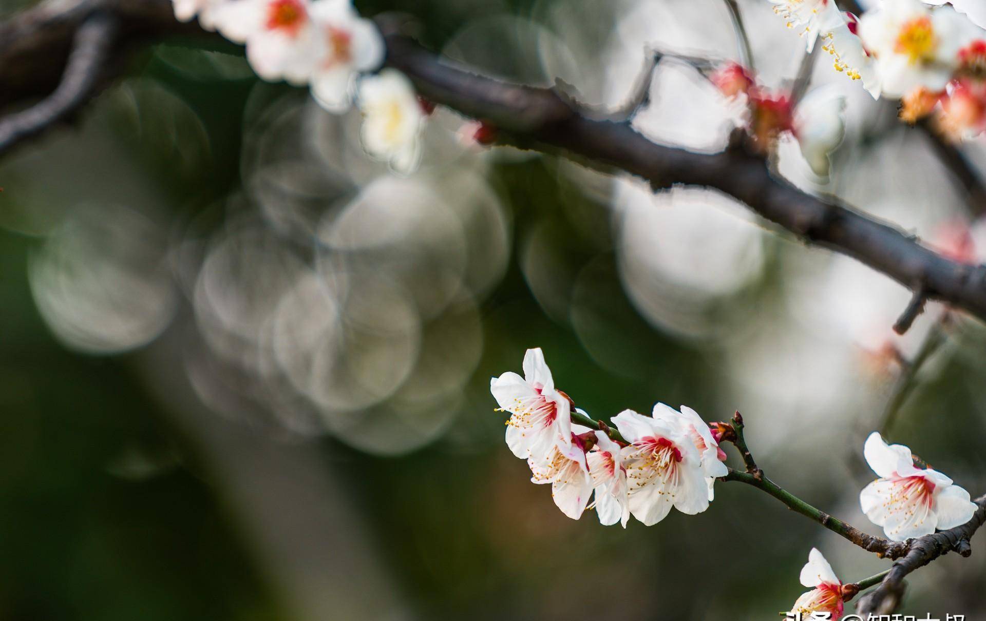一个人,能长期在这4件事上保持低调,说明你相当成熟,厉害