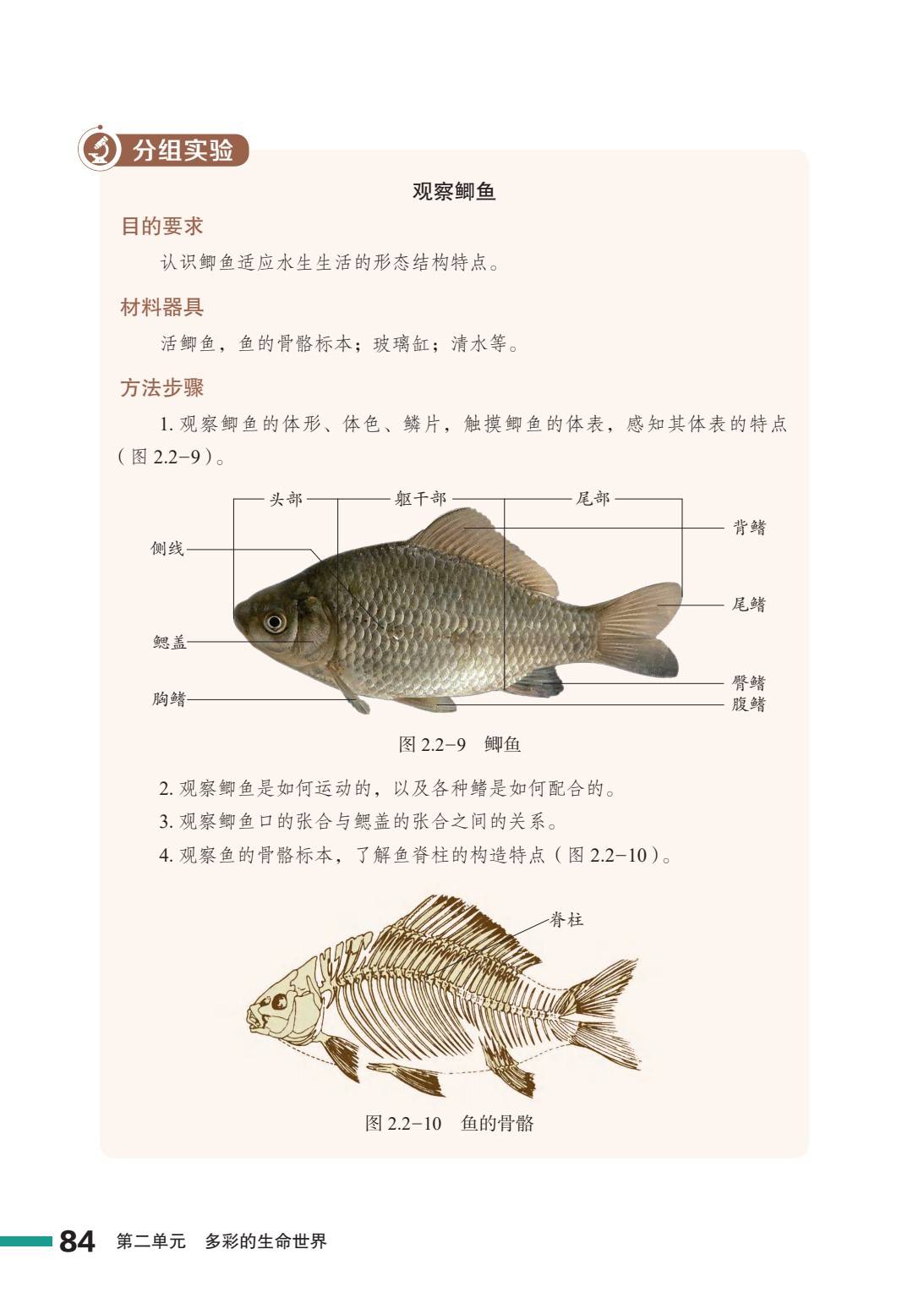 2024秋季最新版初中生物学七年级上册鲁教济南版电子