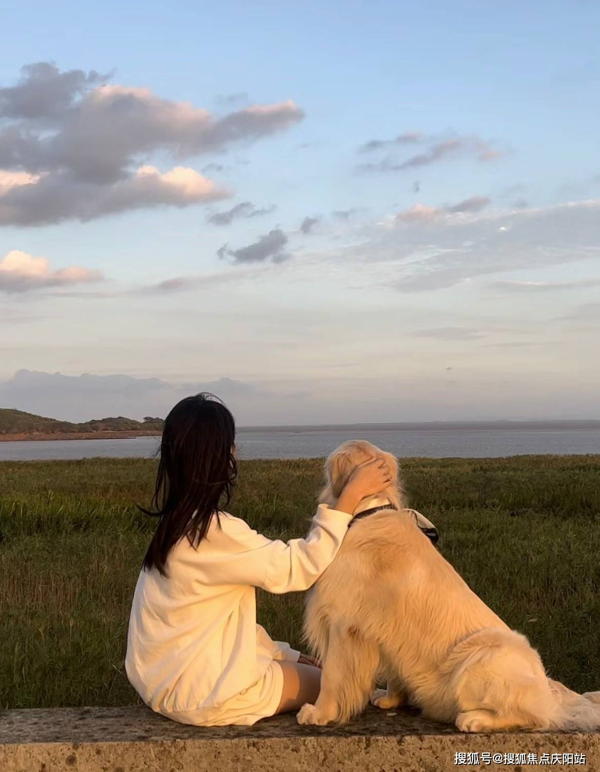 泉州买金毛犬首页网站