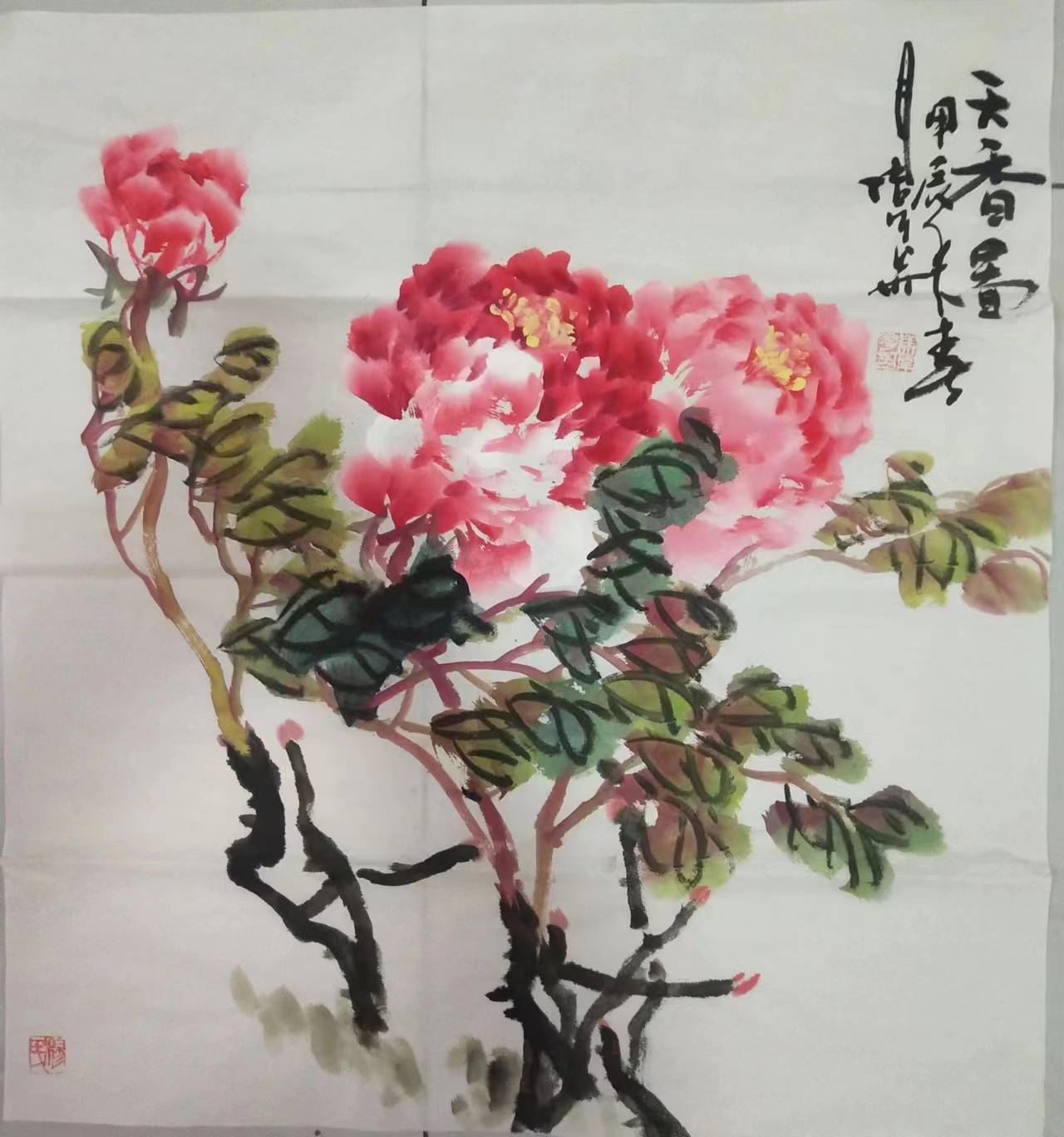 菏泽知名画家马伟华 丹心妙手绘牡丹 春风大雅润人间