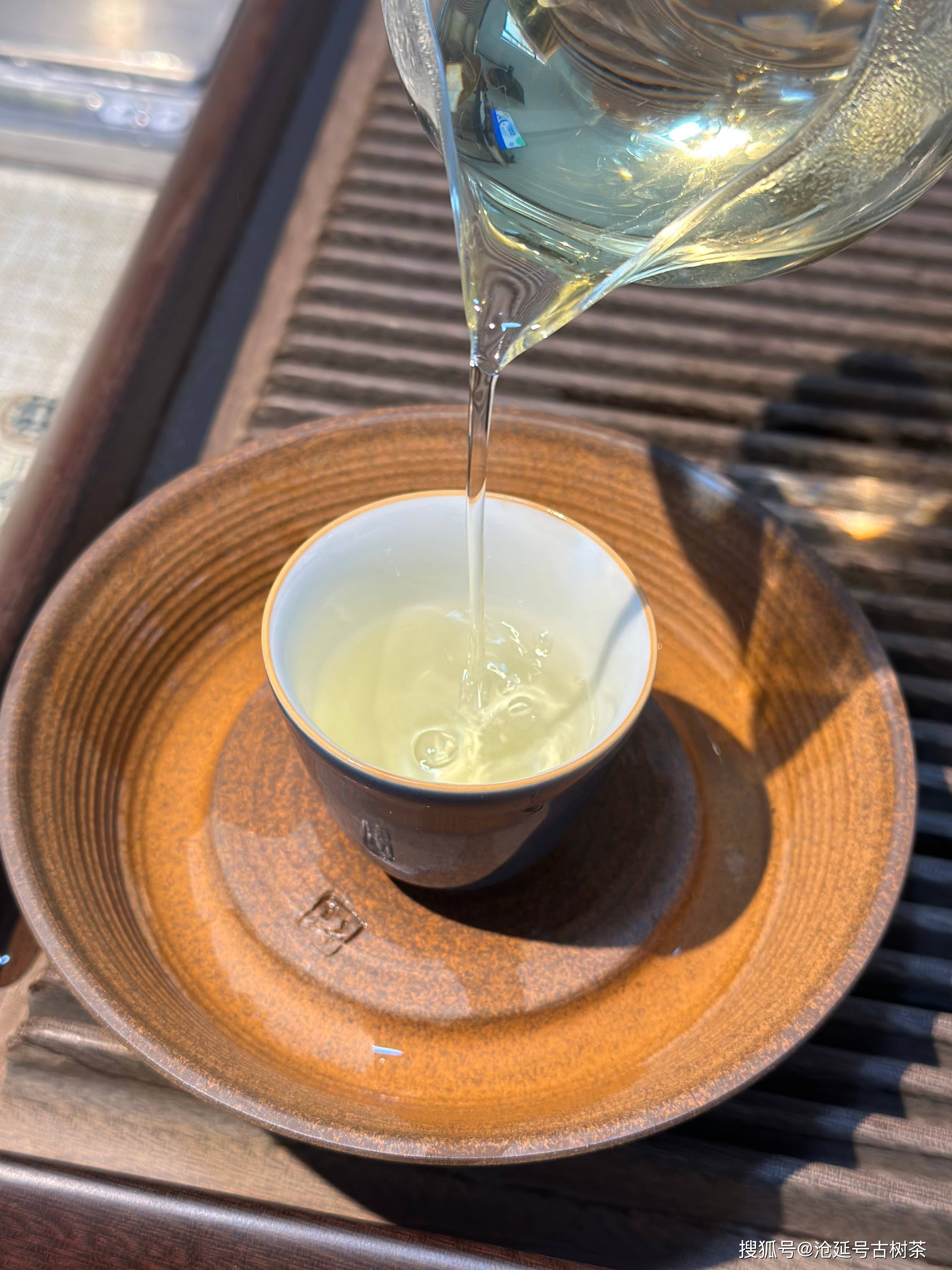 沧延号2024临沧梅子箐单株纯料生茶