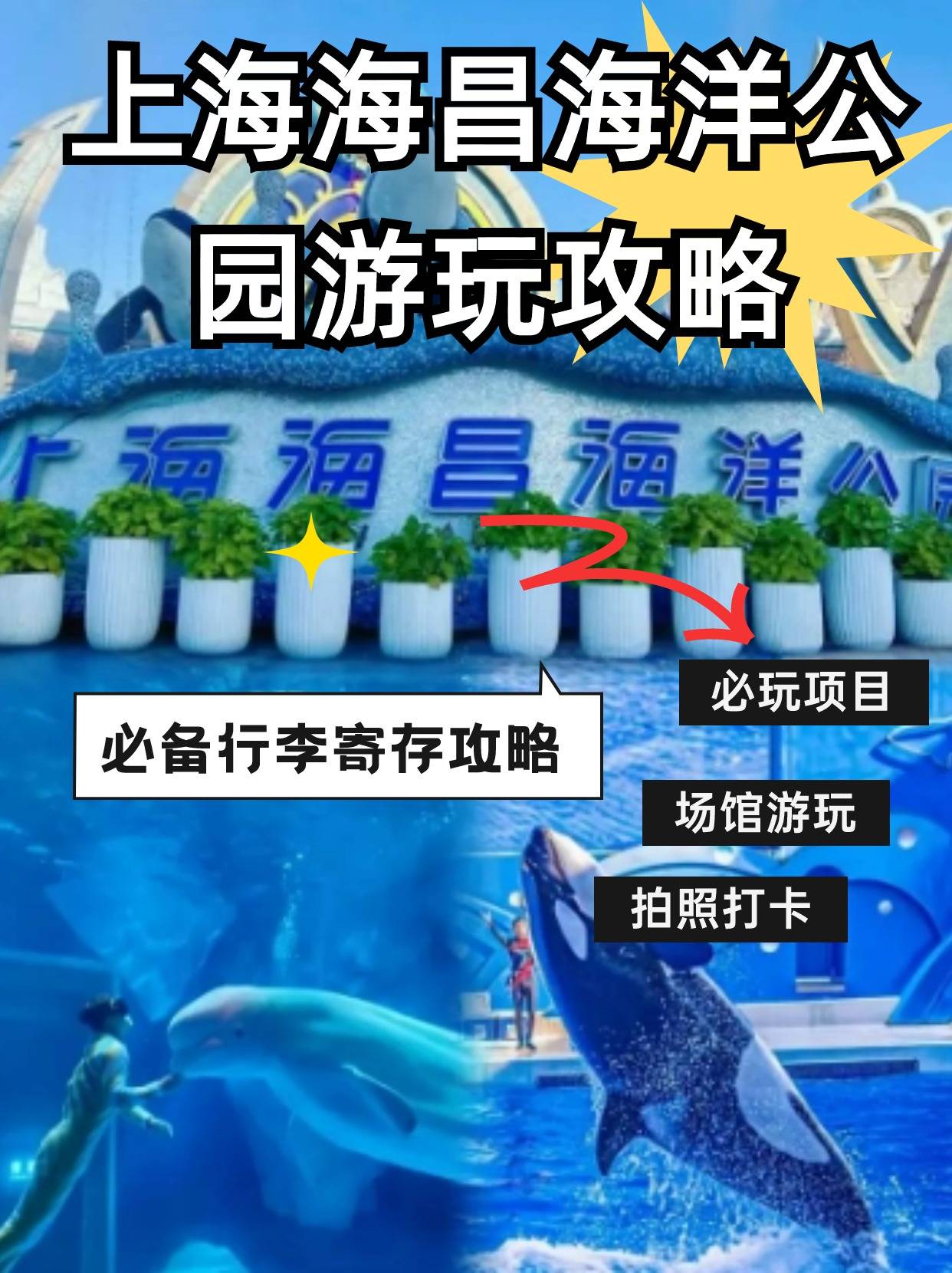 99一篇上海海昌海洋公园攻略,让我们一起走进这个神奇的海洋95