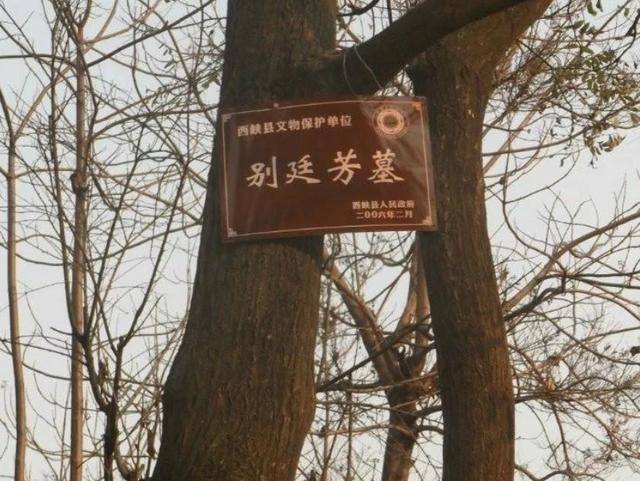 别廷芳,自己印制钞票,设立兵工厂,重金贿赂蒋介石买官_百姓_内乡县