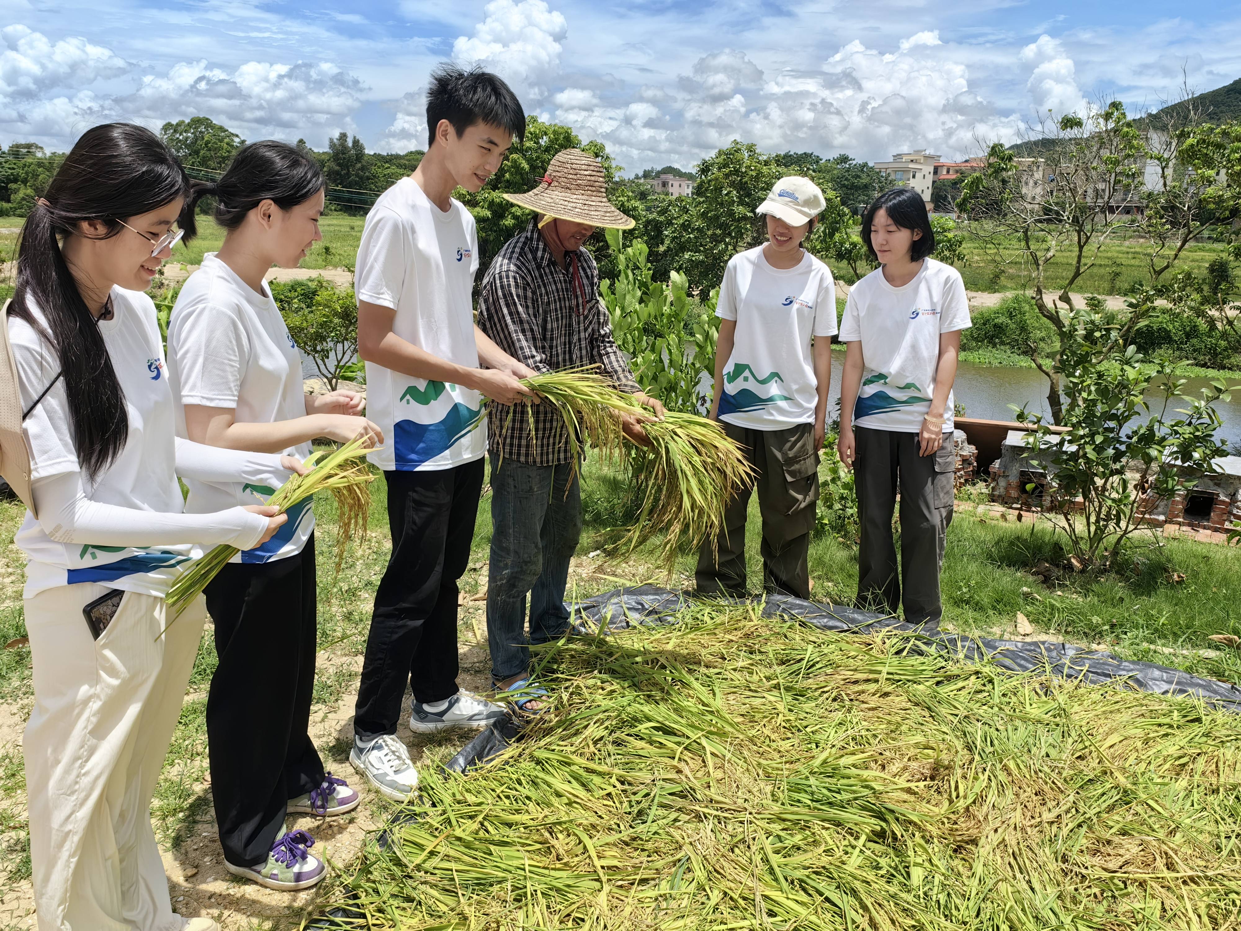 广东海大学子"三下乡"实践队:探索海水稻潜能,助力乡村振兴