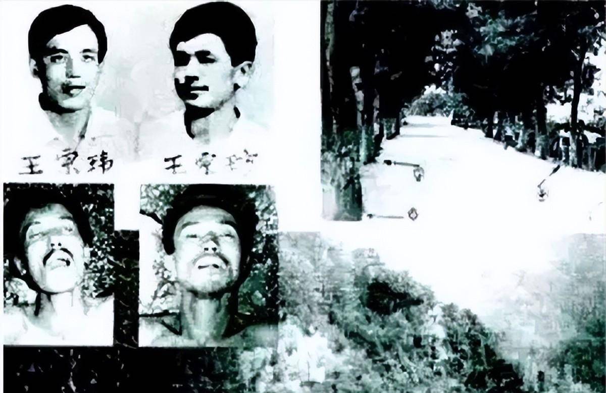 大案回顾:嗜杀的"东北二王"为何会在小山村被击毙?