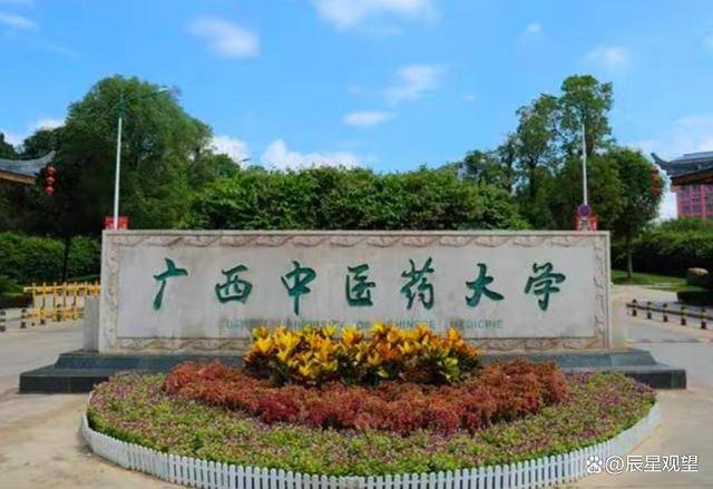 广西中医药大学留学生事件,被骂到关闭评论