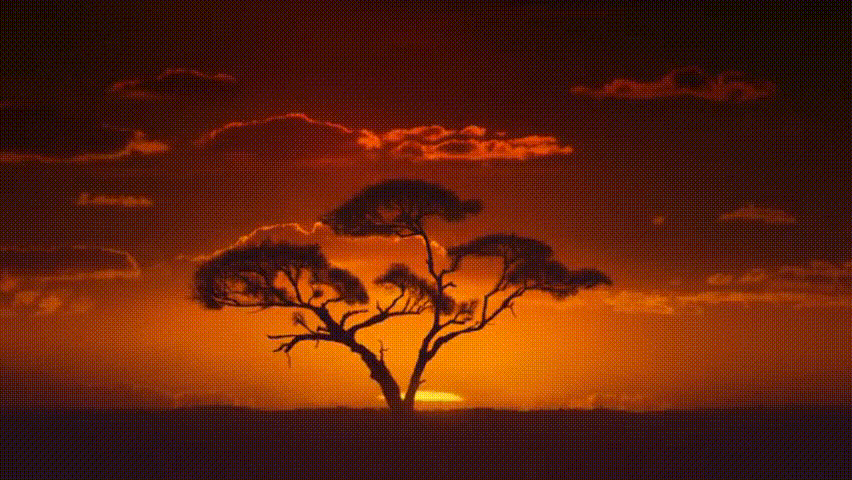 夏日氛围感【视频素材】精选