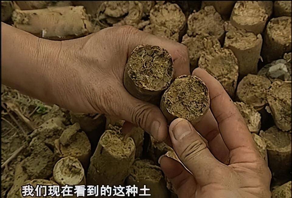 青膏泥白膏泥图片