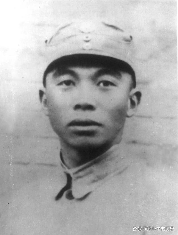 蒋委员长发来贺电,检讨会变成庆功会_日军_师团长_中将