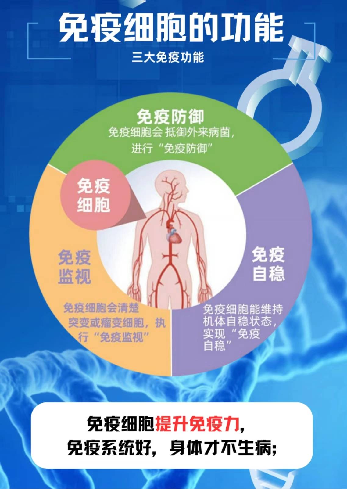 细胞健康决定人体健康图片