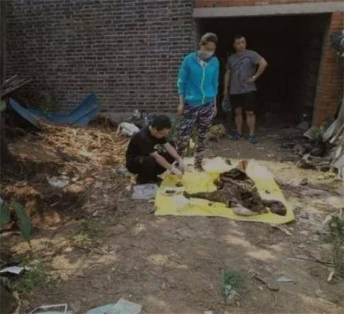 江苏杀妻藏尸案:丈夫杀妻后藏尸家中5年,谎称失踪陪同岳母报警