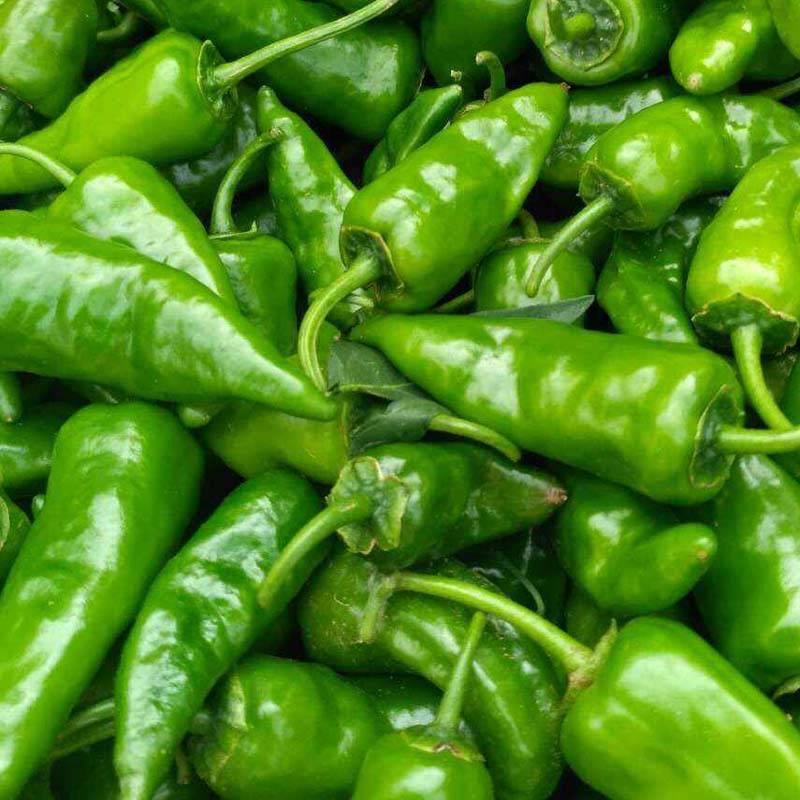 同乐余干椒薄皮香椒辣椒种子