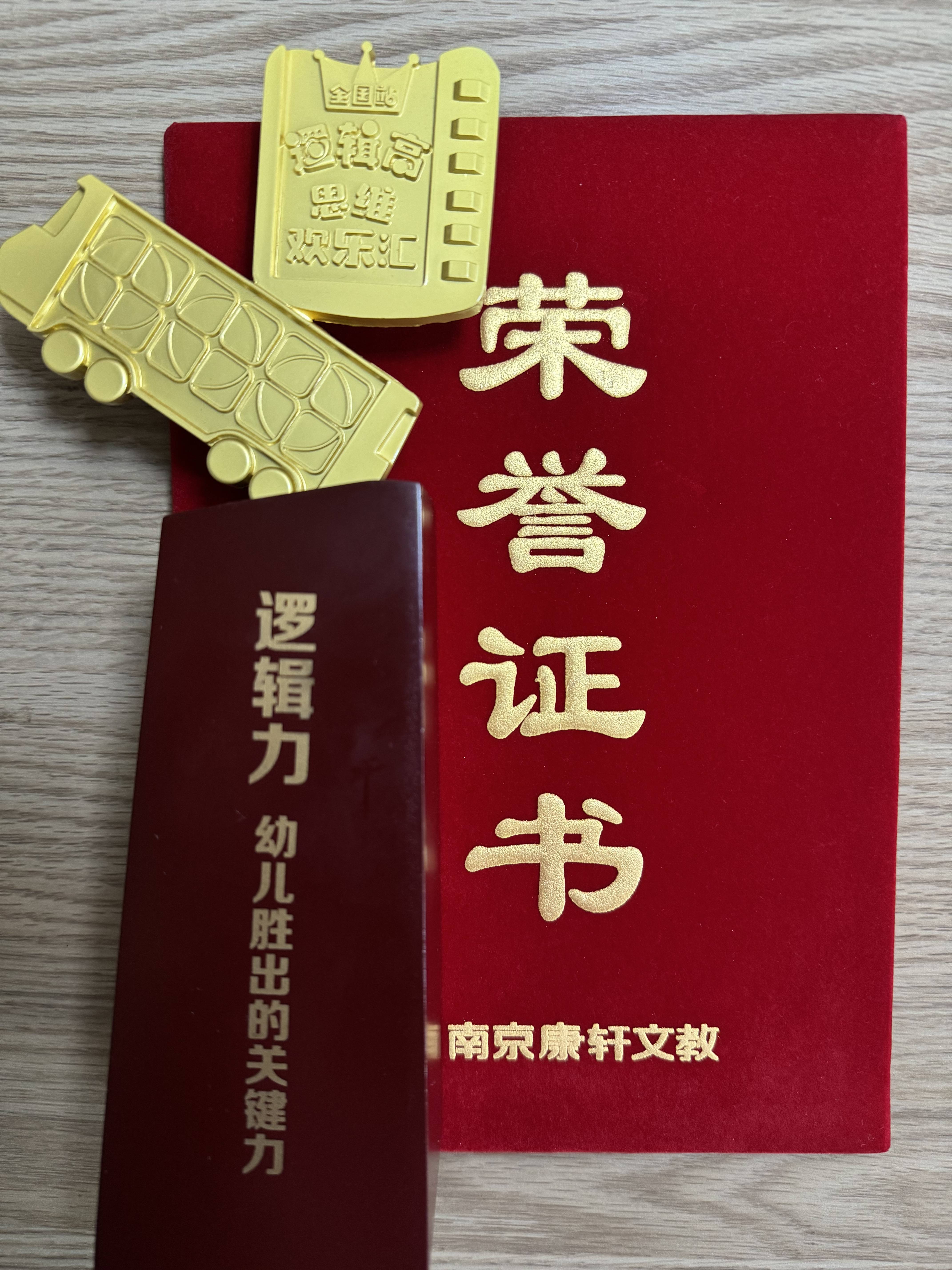 商丘市乐柠幼儿园小班邓宗师参加第10届"逻辑高欢乐汇"全国挑战赛荣获