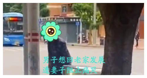 广东:一男子当街痛哭,想回家乡工作发展,不料妻子却屡次拒绝