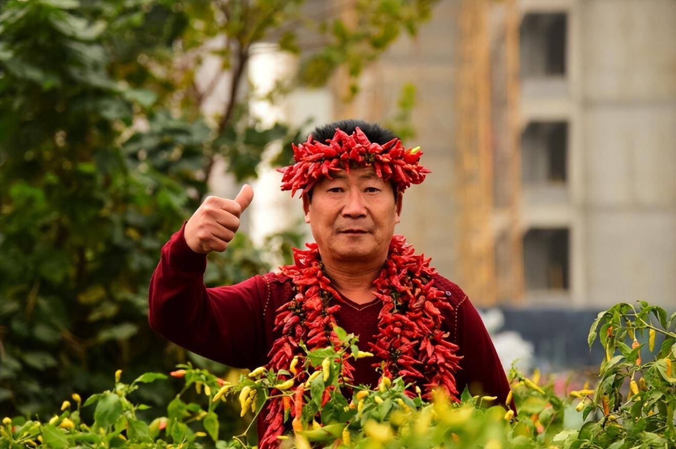 龙息椒李永志图片