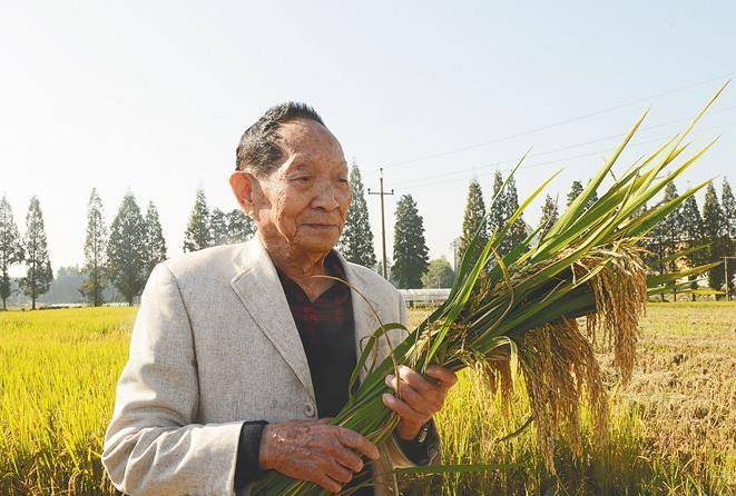 "杂交水稻之父袁隆平,共有3个儿子,他们如今都怎样了?