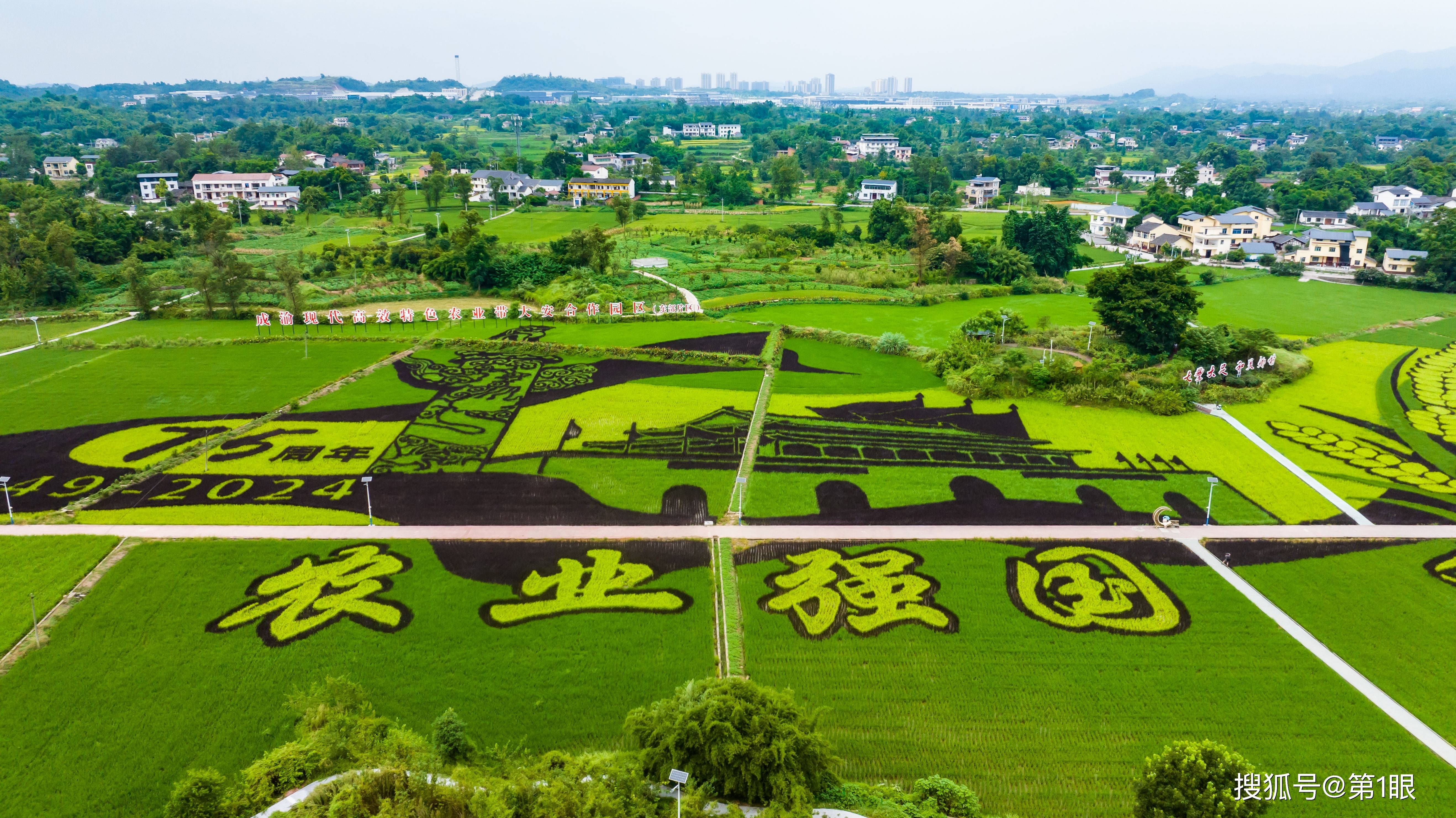 重庆大足宝兴镇图片