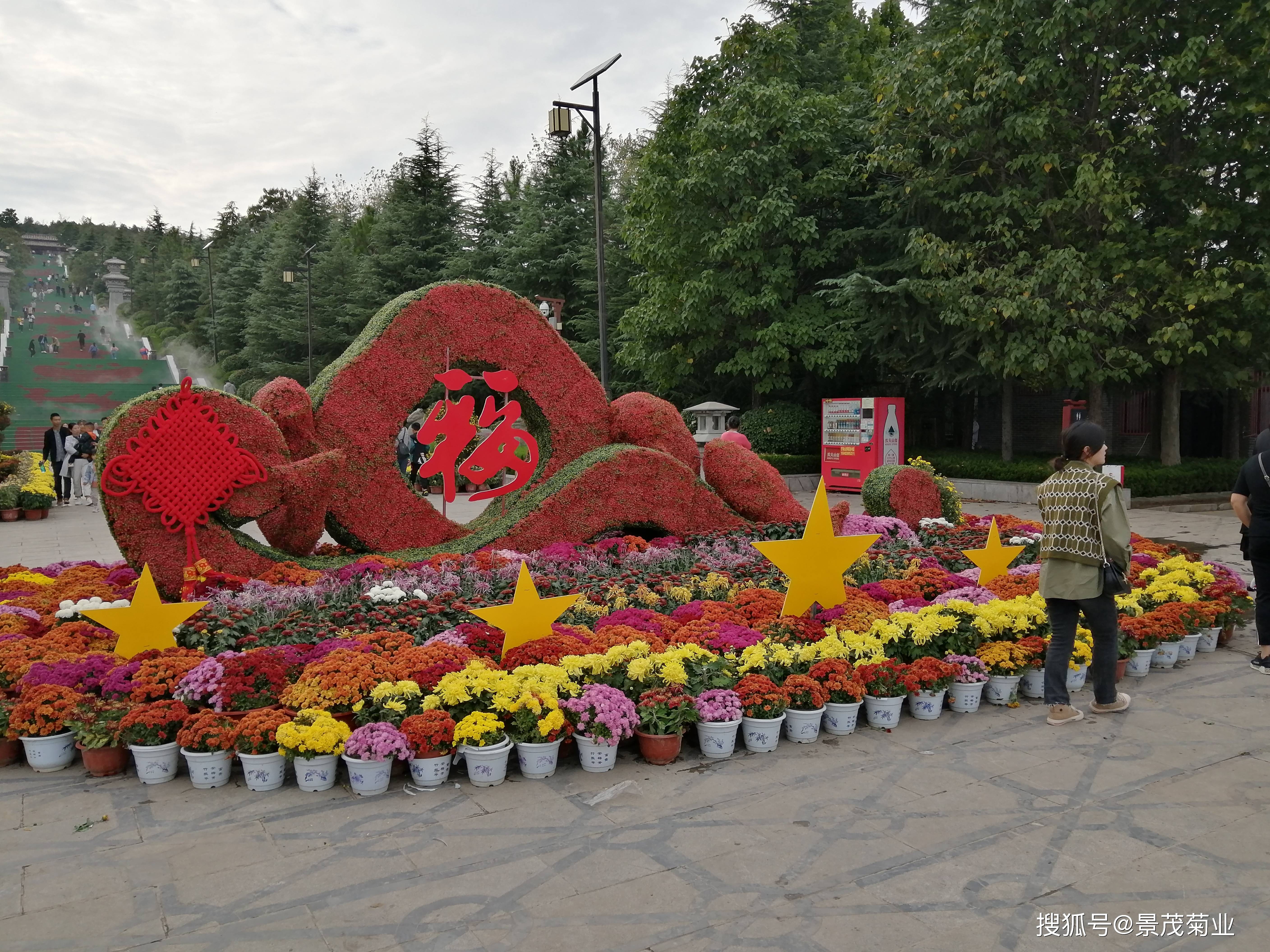 往届菊花展案例—2019年芒砀山菊花展(菊花展厂家)_造型_汉博苑_展暨