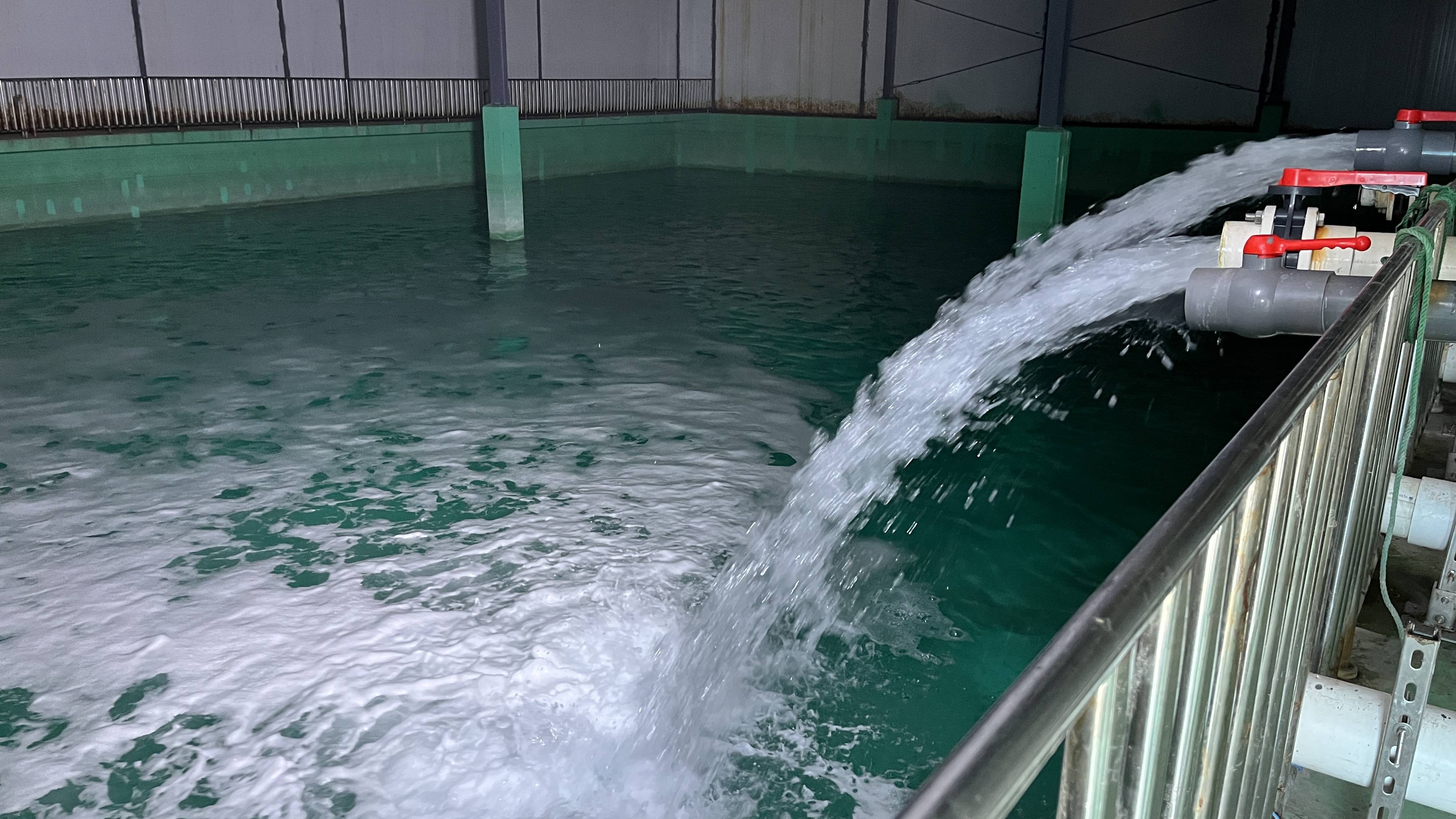 如何设计一套完善的工厂化循环水养殖系统?