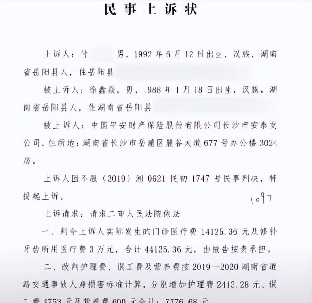 民事上诉状怎样写图片