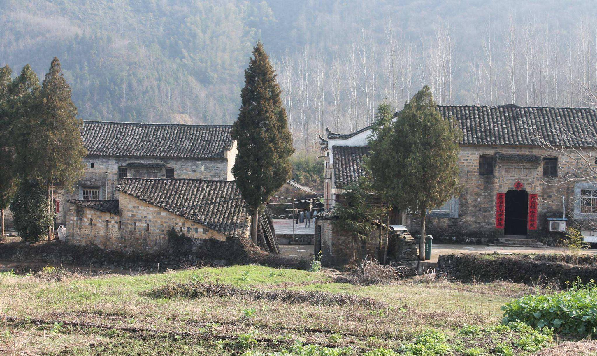 莲花县金家村金绪宜图片