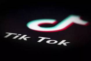 申请入驻 TikTok 公会有哪些注意事项？