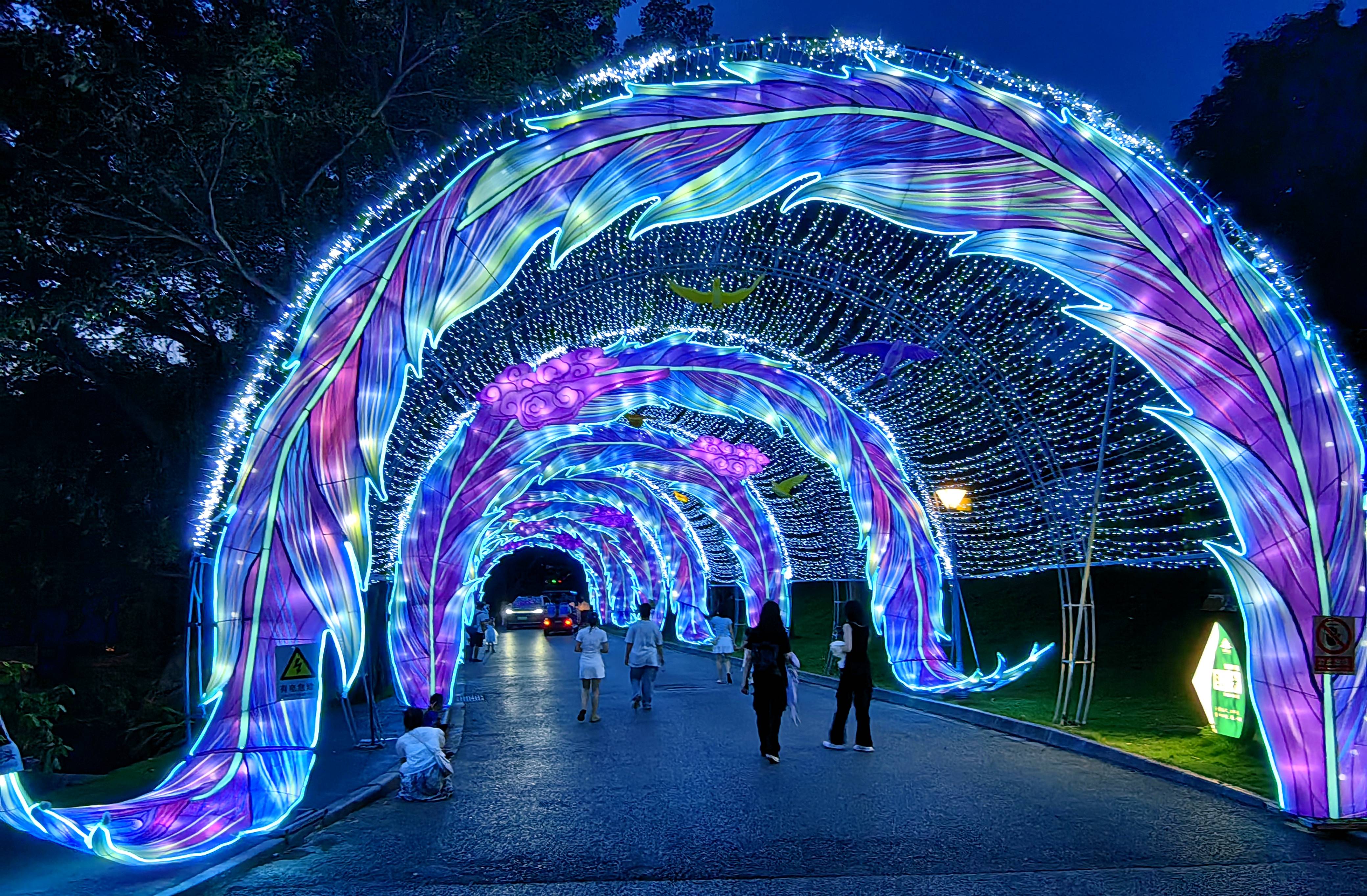 在南宁青秀山"夜花园",体验现实版的爱丽丝梦游仙境