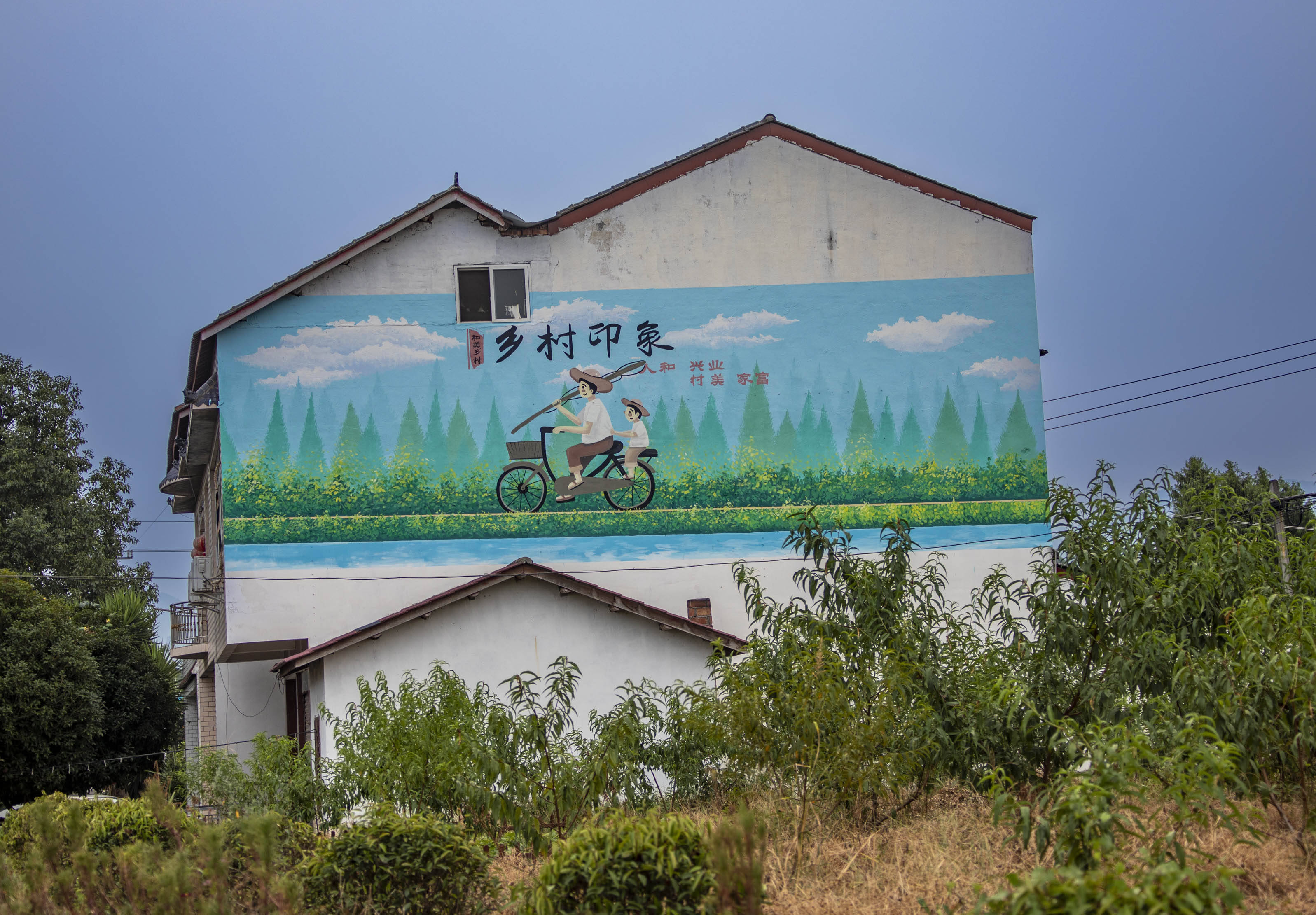 成都东部新区贾家街道:墙画扮靓菠萝村